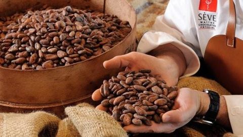 La Maison Sève appelle à une consommation de chocolat plus éthique La Maison Sève appelle à une consommation de chocolat plus éthique